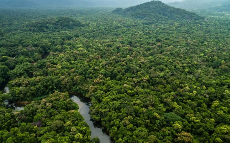 desmatamento-floresta-amazonica
