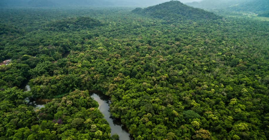 desmatamento-floresta-amazonica